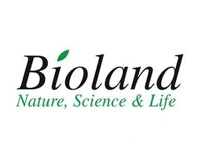 logo_strategic03