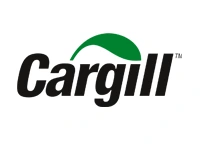 logo_strategic05