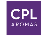 logo_strategic09