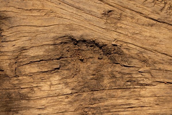 wood note