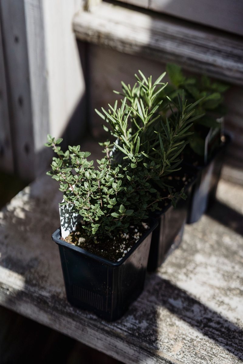 herb note
