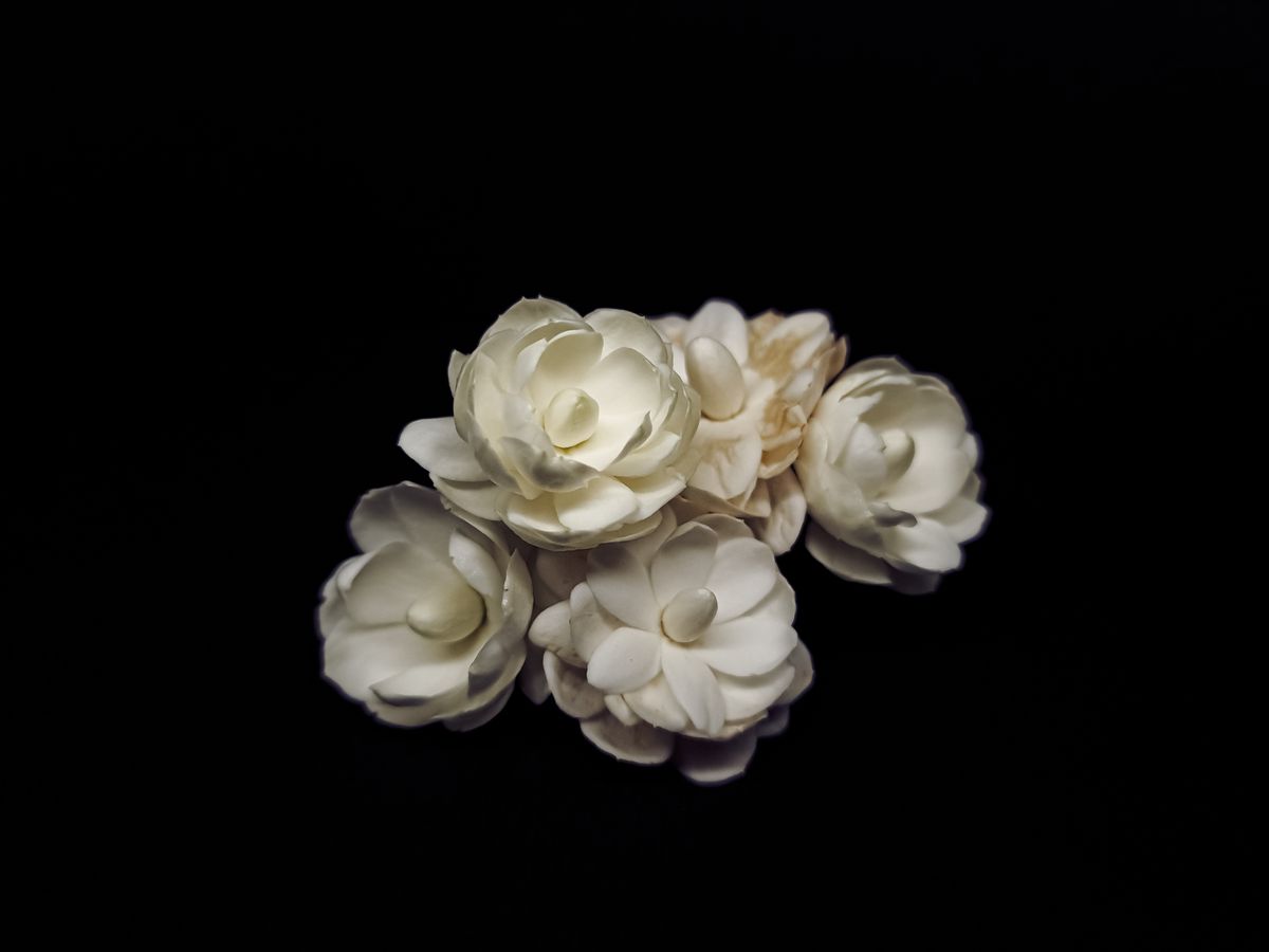 Bunga Melur (Jasmine) - the ingredient used in Bunga Melur Body Mist, private label OEM Malaysia