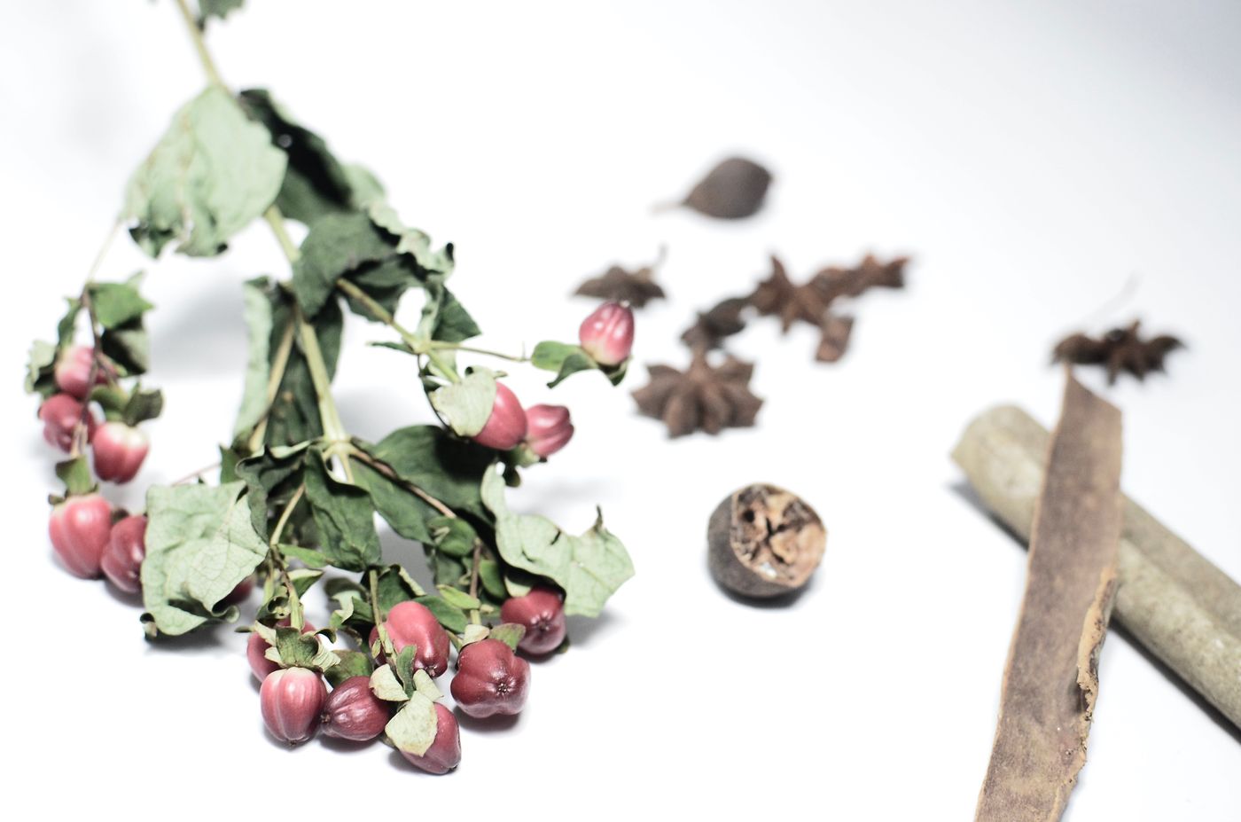 Cinnamon, the botanical source of cinnamon bark essential oil