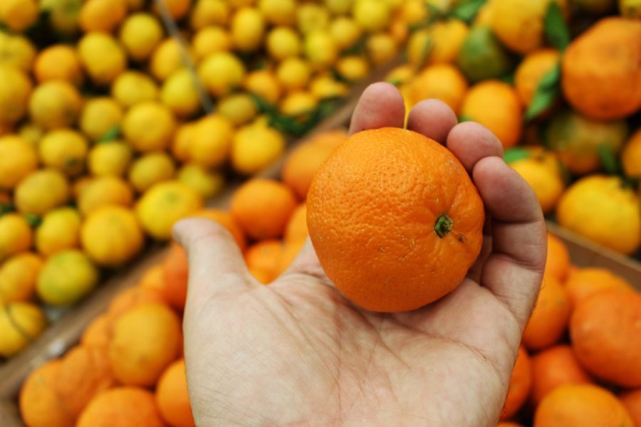clementine fruit