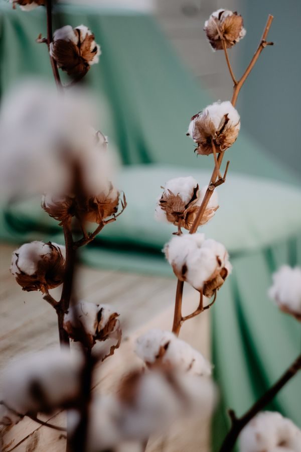 cotton note