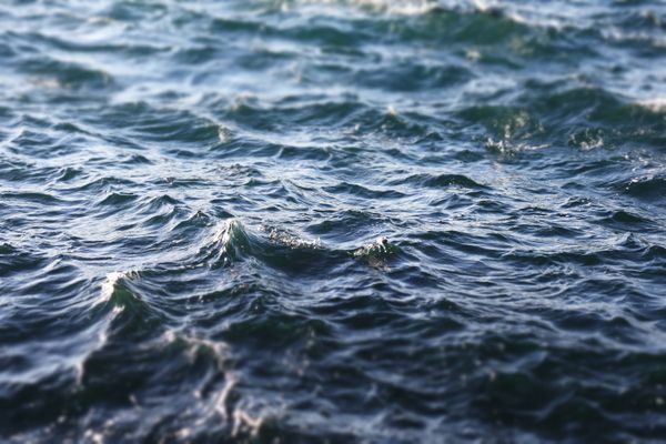 Water - a fresh daily direction