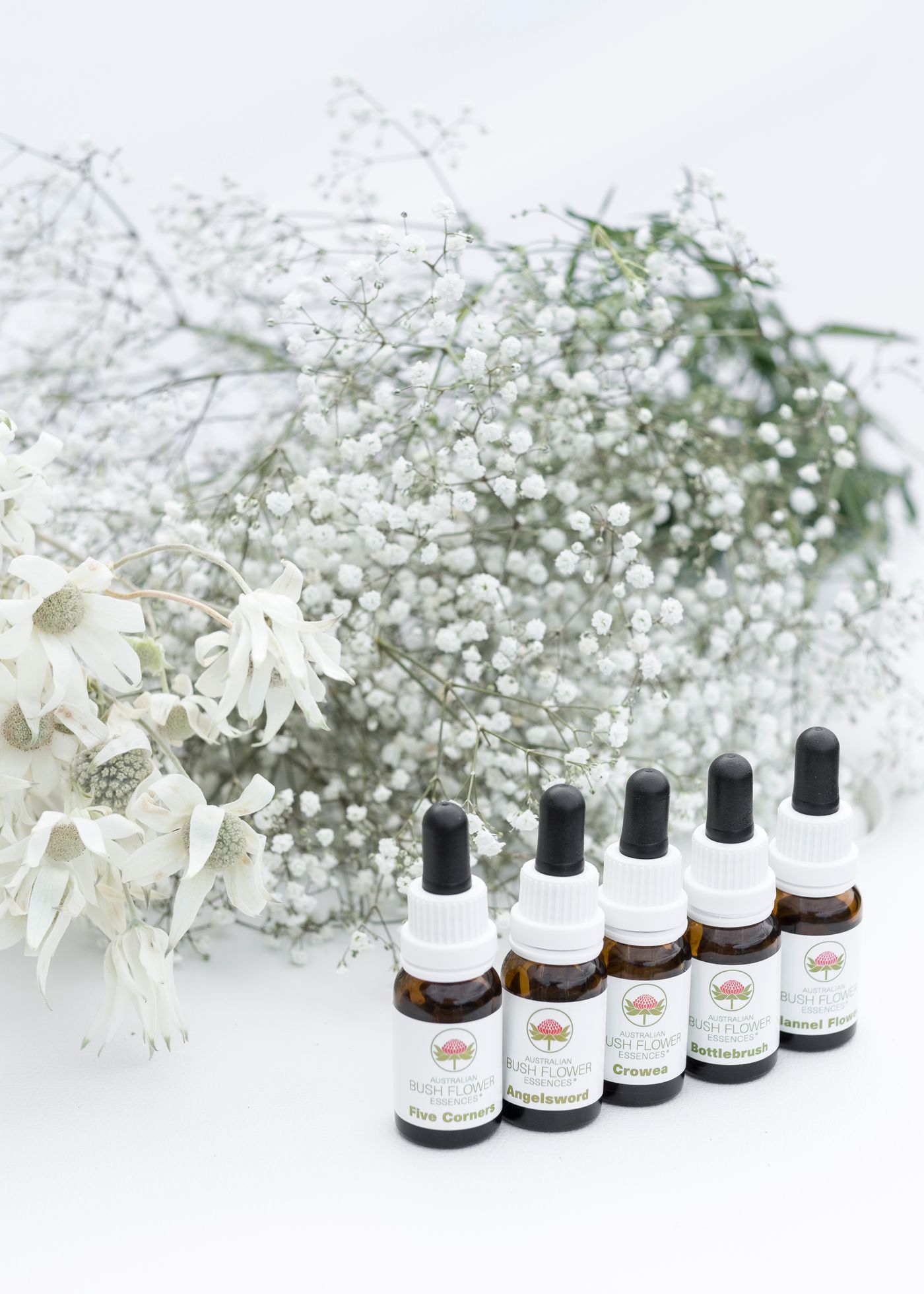Emotional Aromatherapy Collection, the botanical source of emotional aromatherapy collection
