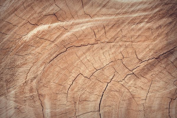 Aged wood - a deep base note