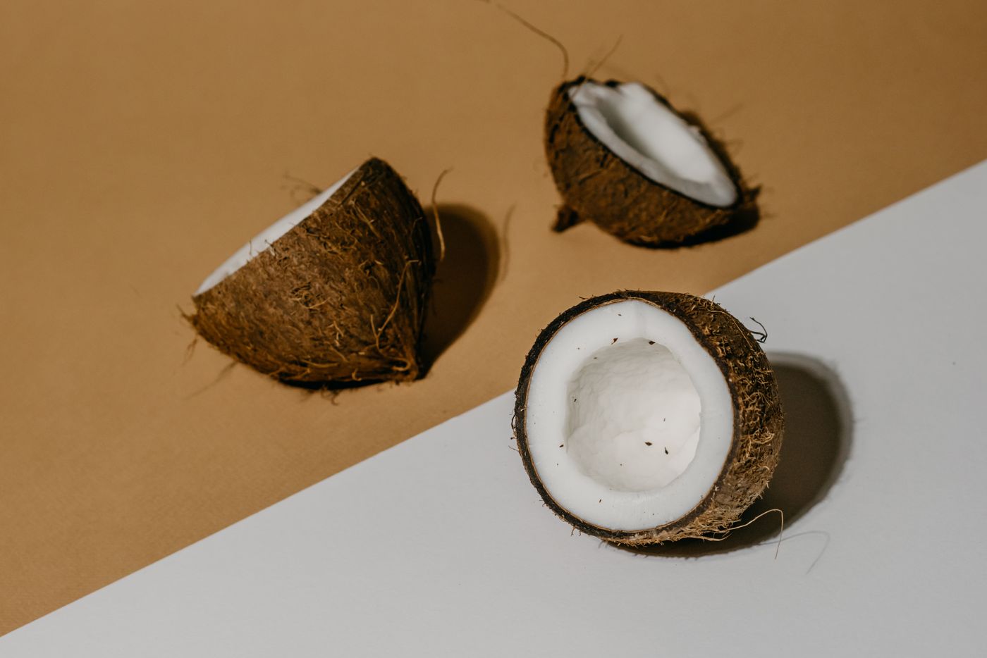 Coconut, the botanical source of fractionated coconut oil
