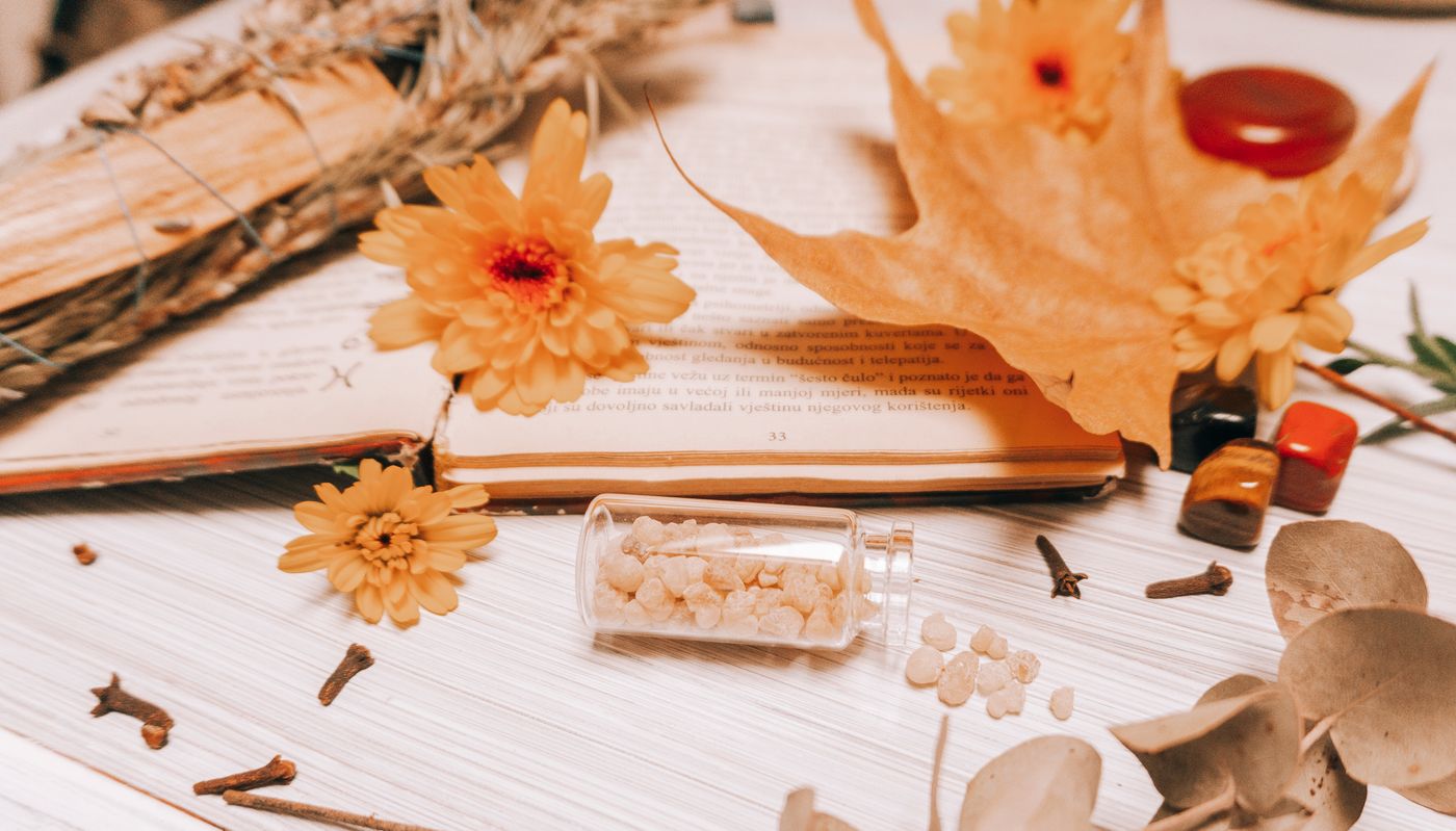 Frankincense, the botanical source of frankincense essential oil