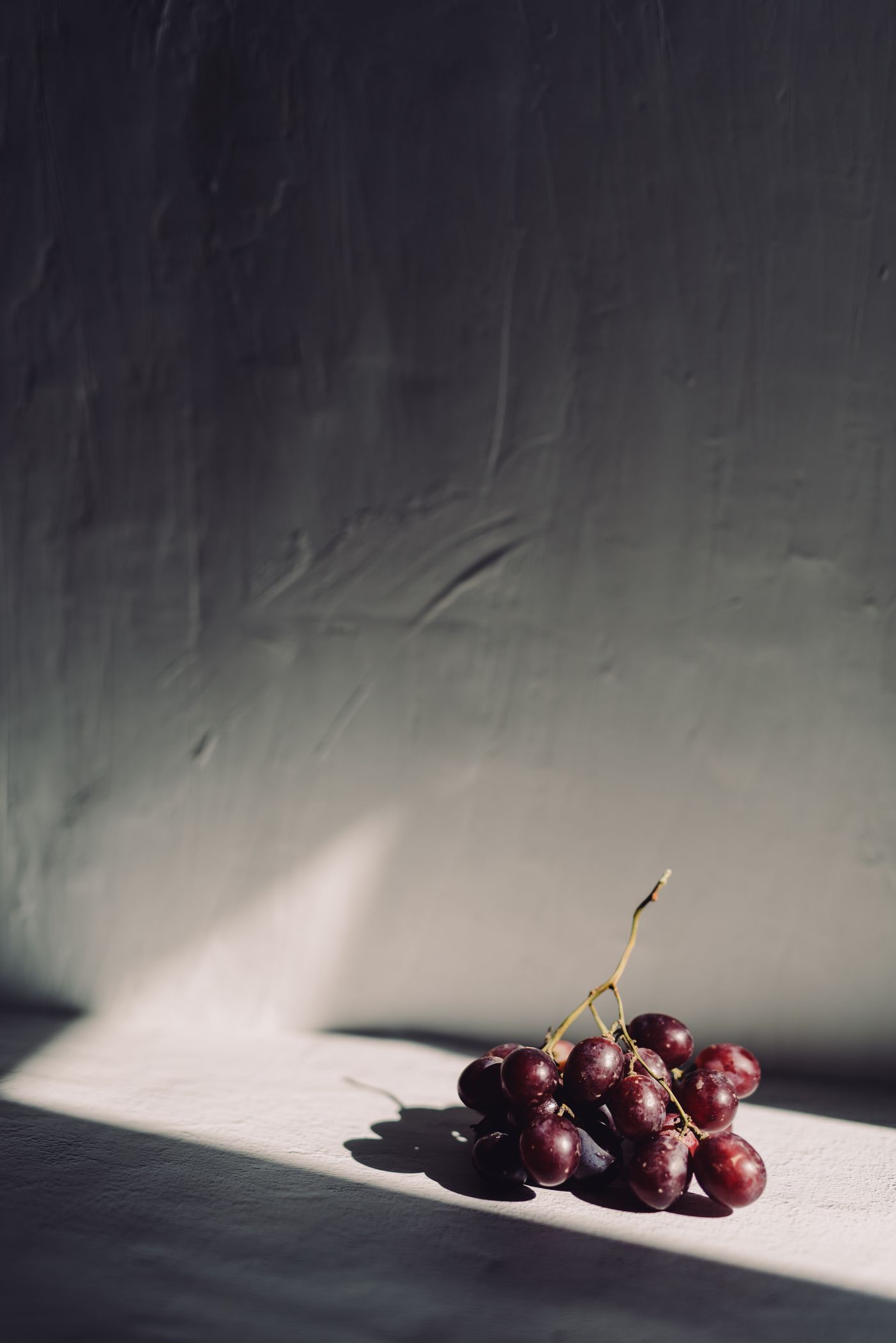 Grapeseed, the botanical source of grapeseed carrier oil