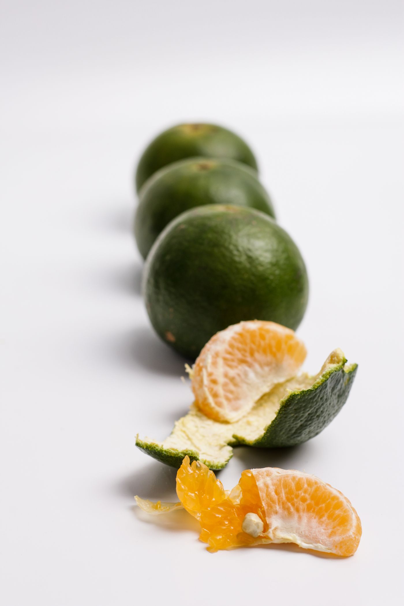 Green Mandarin, the botanical source of green mandarin essential oil