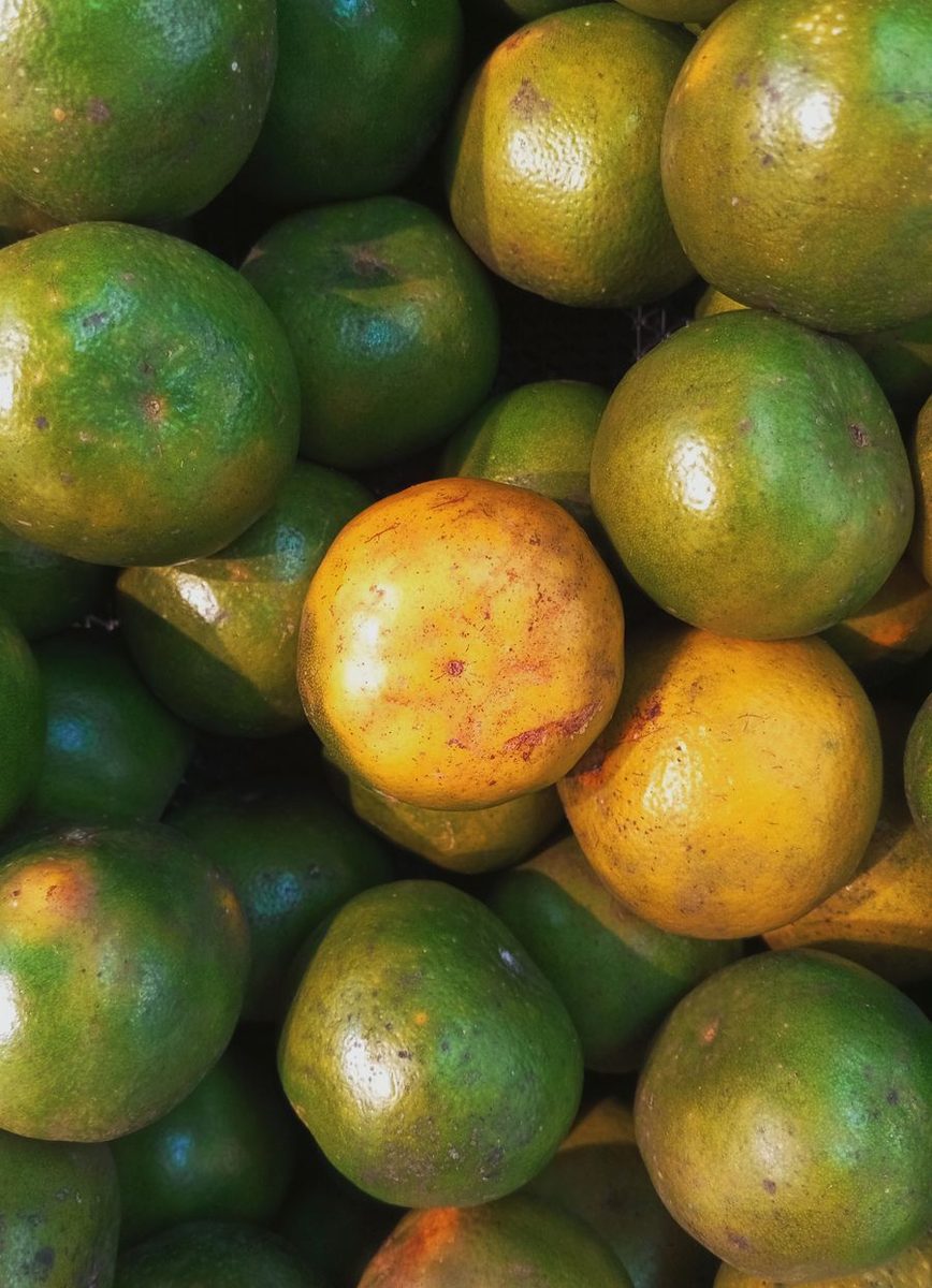 green mandarin fruit