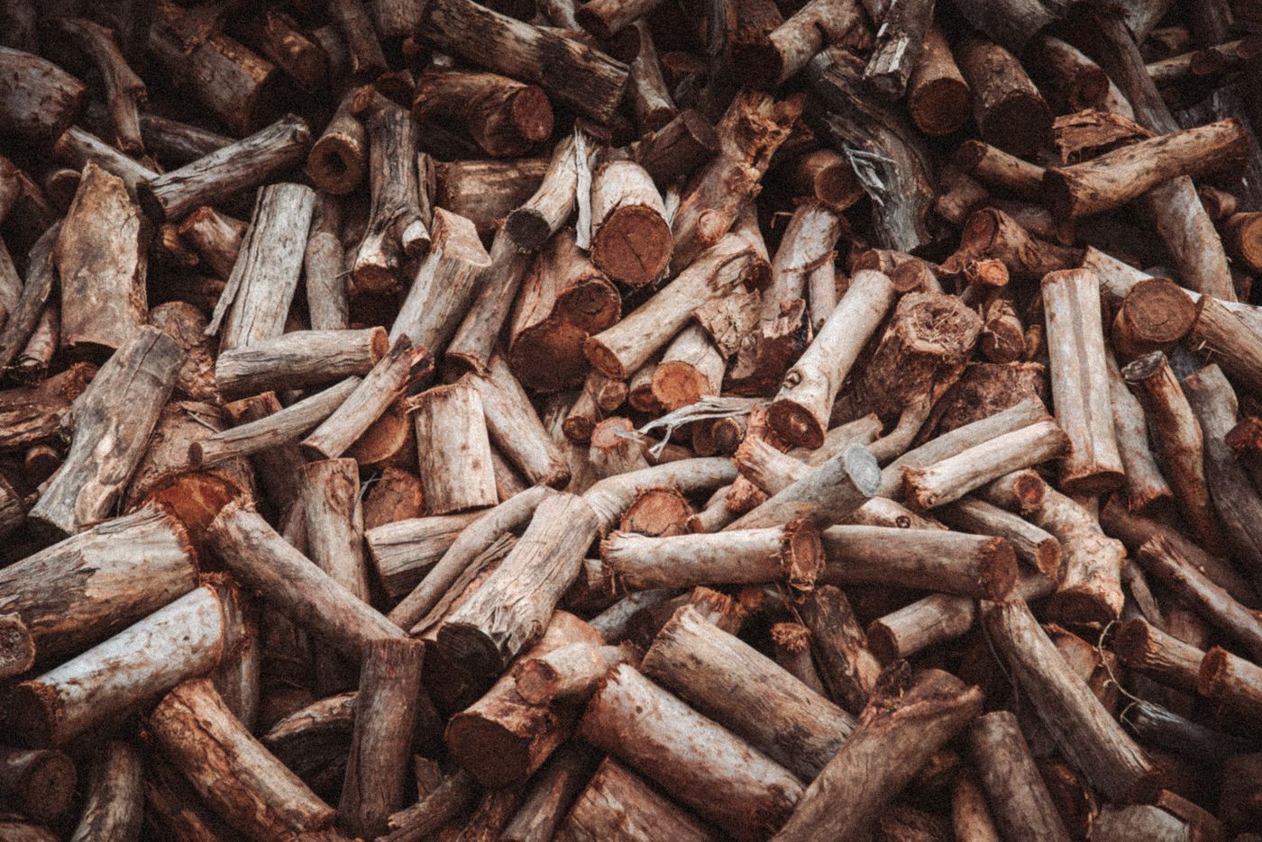 Hawaiian Sandalwood, the botanical source of grounding blend