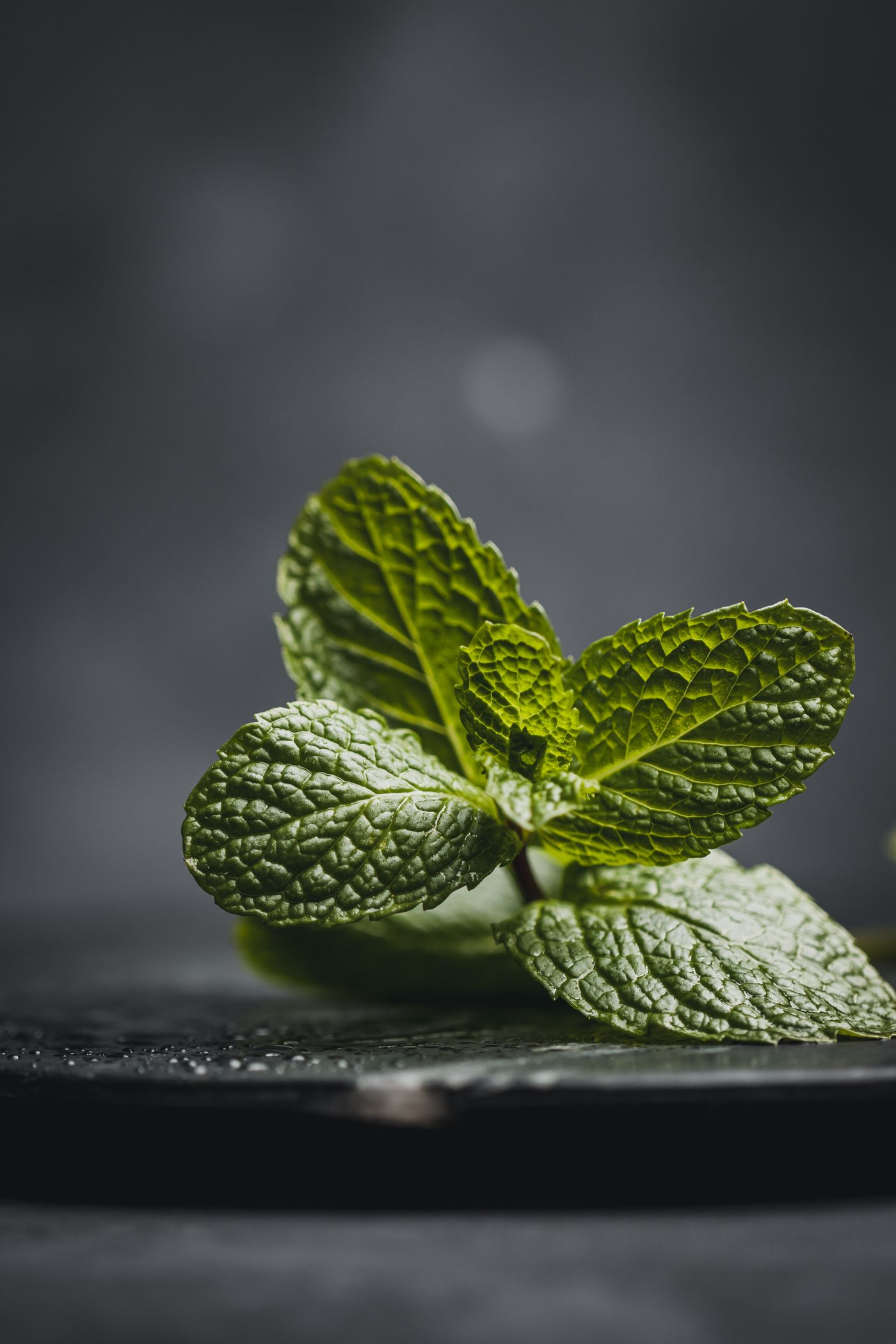Peppermint, the botanical source of headache ease roll-on 10ml