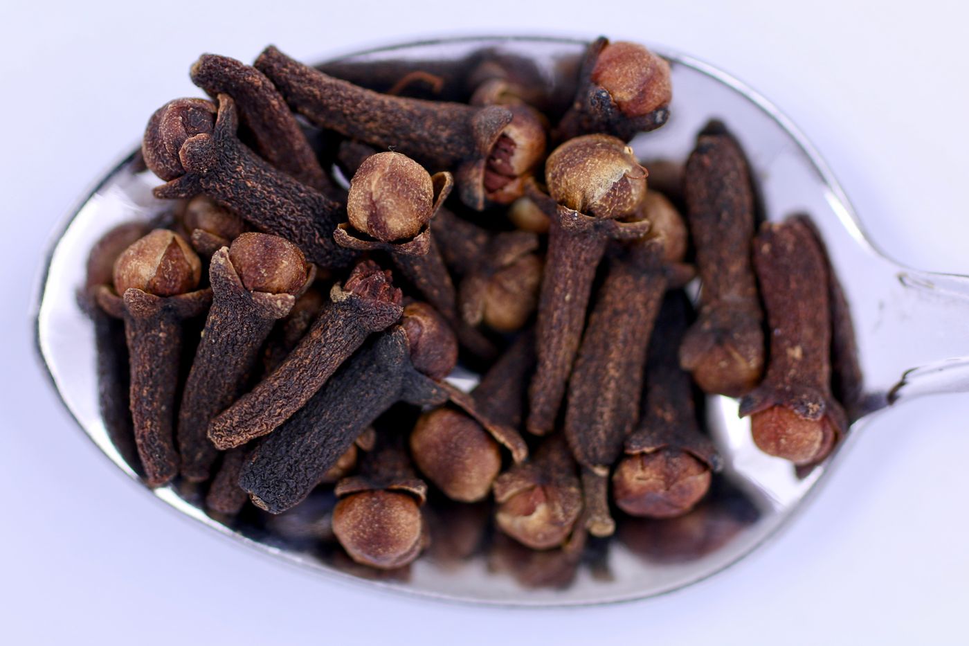 Clove, the botanical source of immune shield roll-on 10ml