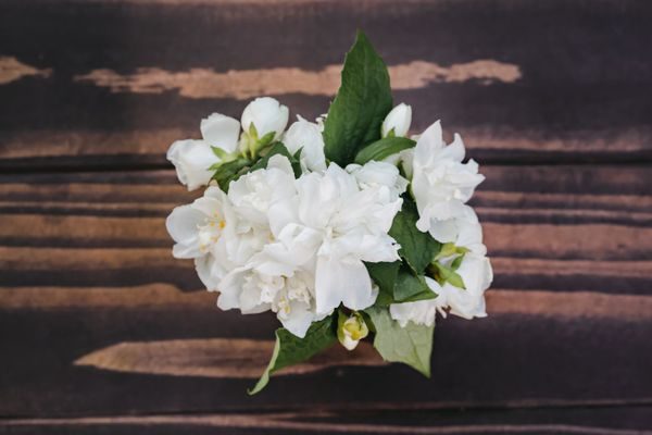 jasmine note