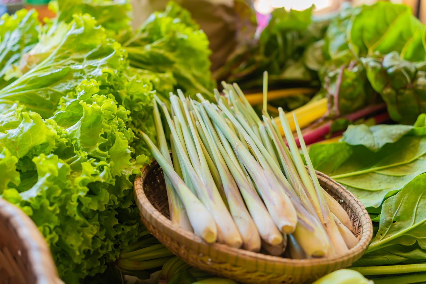 Lemongrass, the botanical source of lemongrass essential oil