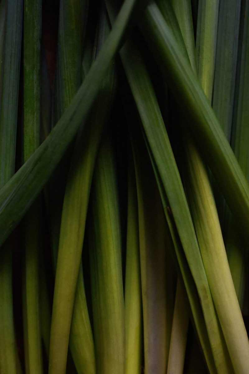 lemongrass stalks