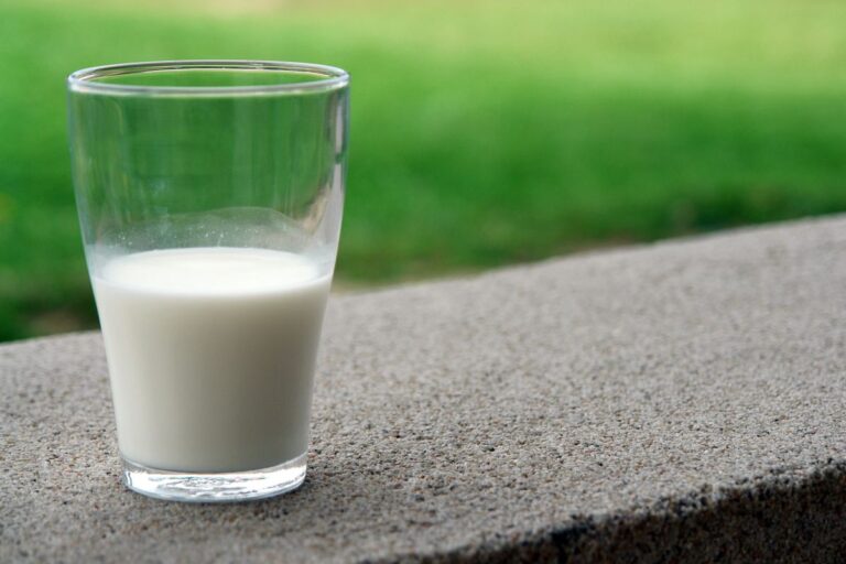 Milk - the ingredient used in Oat Milk Powder, private label OEM Malaysia
