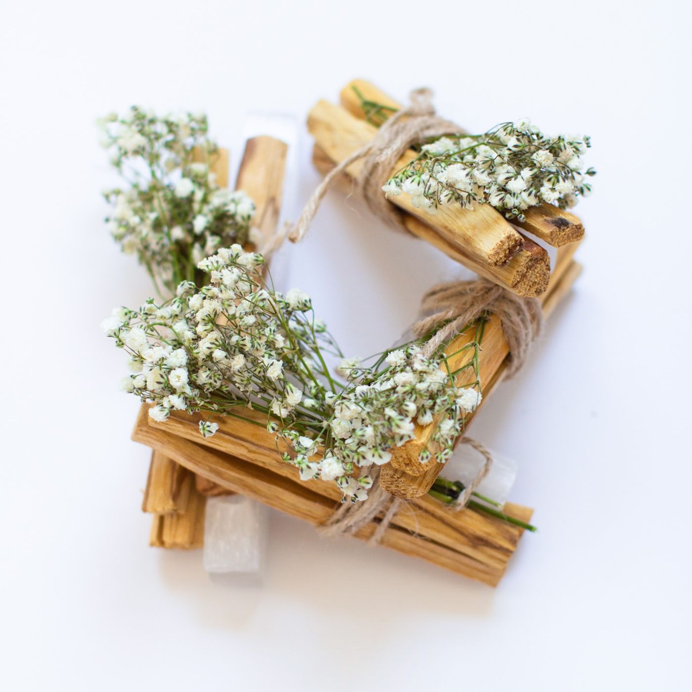 Palo Santo, the botanical source of palo santo essential oil