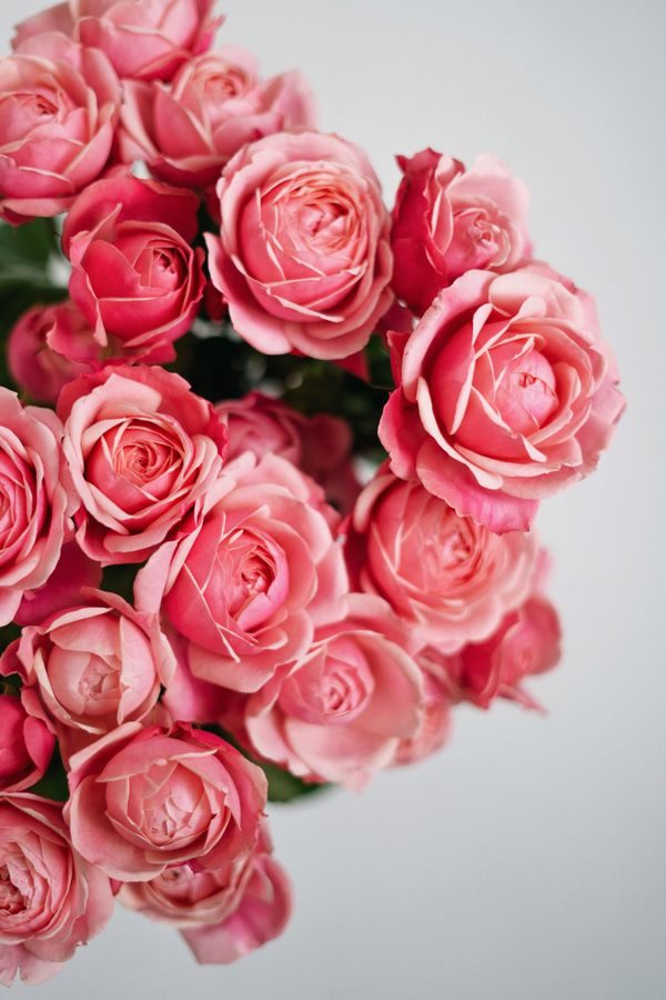 rose note