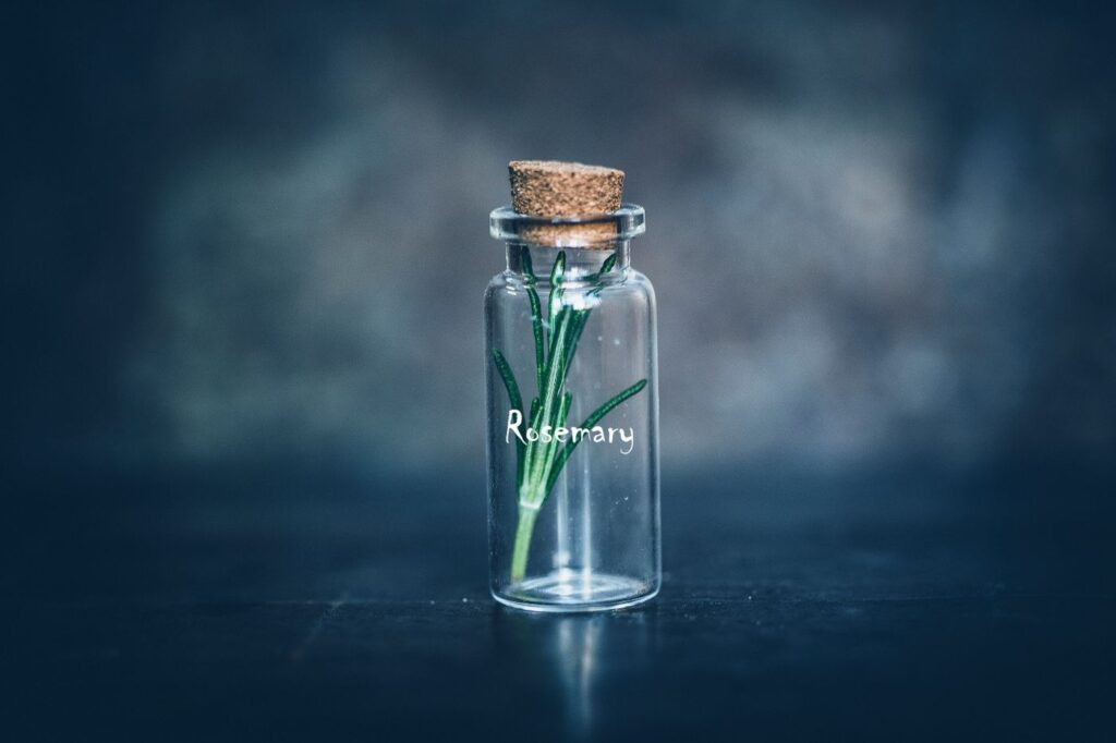Rosemary Essential Oil with fresh rosemary - private label OEM manufacturing in Malaysia