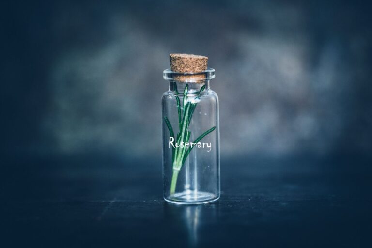 Rosemary Essential Oil with fresh rosemary - private label OEM manufacturing in Malaysia
