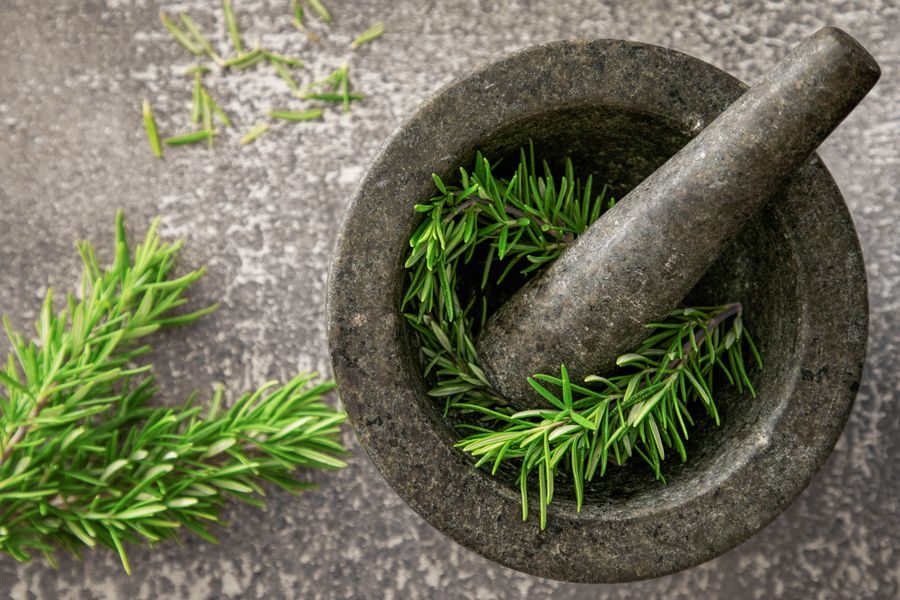rosemary herb