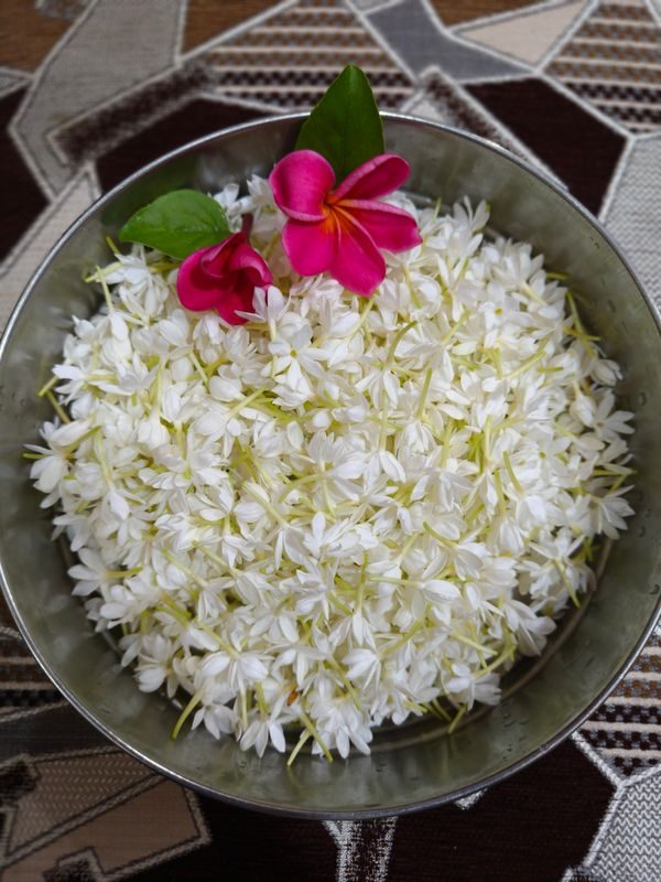 Jasmine - the floral note