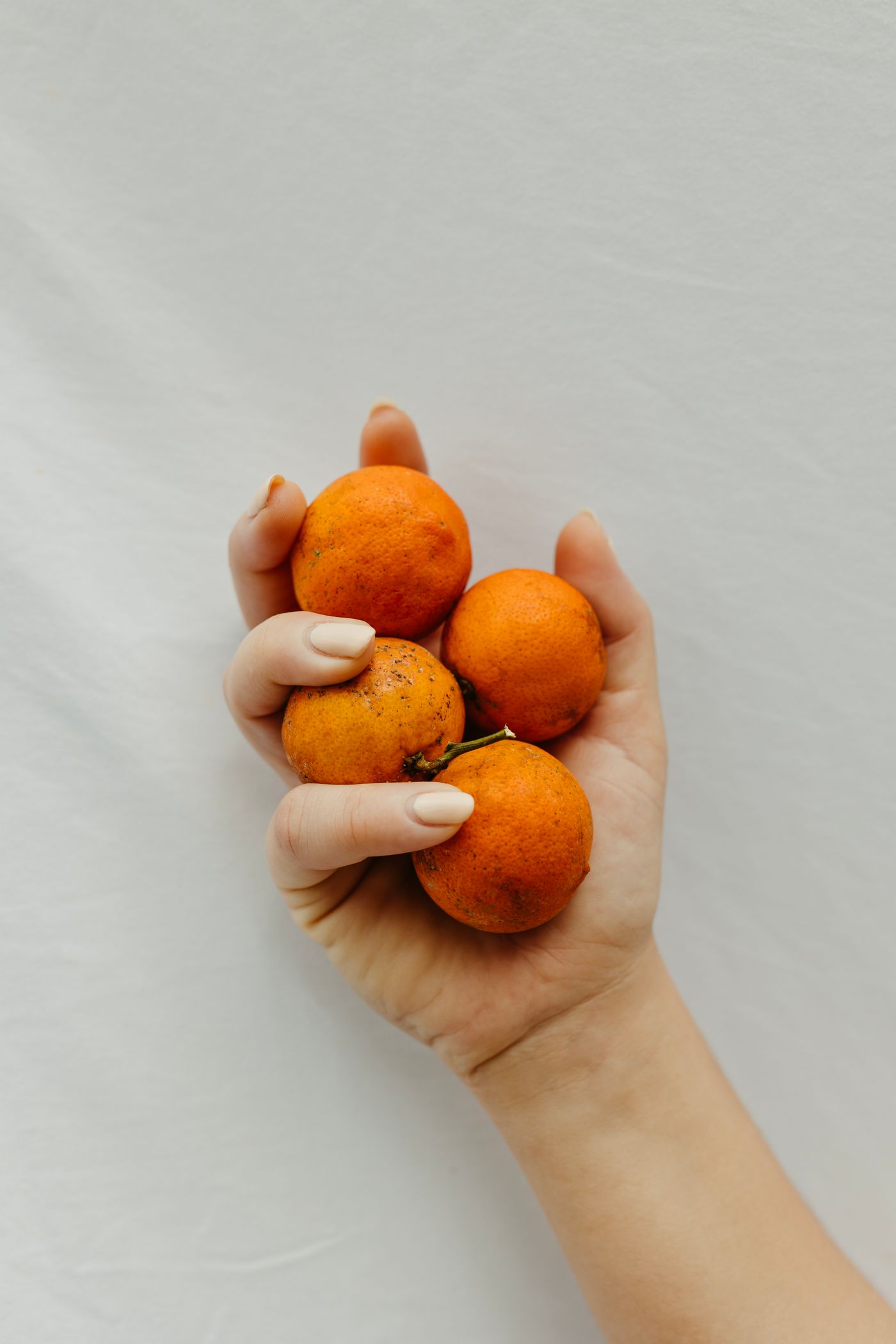 Sweet Orange, the botanical source of sweet orange essential oil