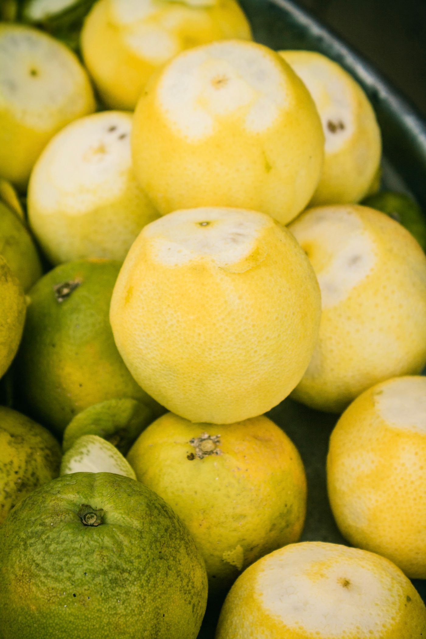 Bergamot, the botanical source of uplifting blend