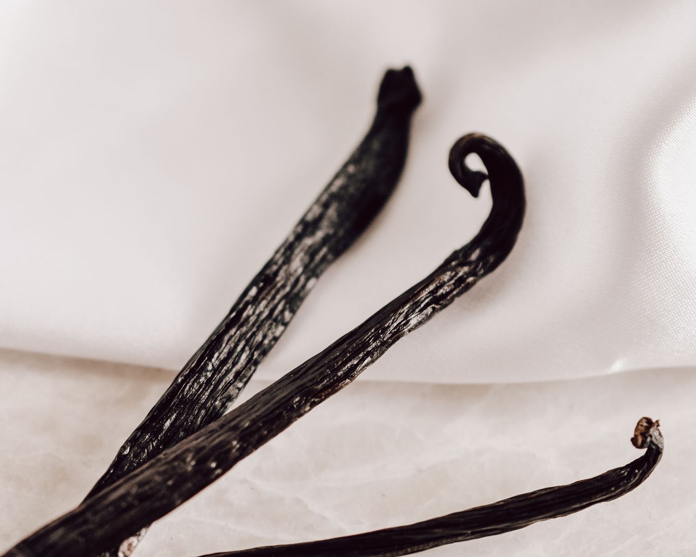 Vanilla, the botanical source of vanilla oleoresin